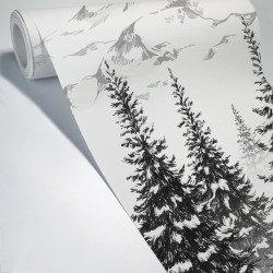 papier peint panoramique noir et blanc